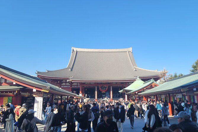 Tokyo Private Tour by Car with English speaking driver - How the private car setup really works (driver + optional guide)