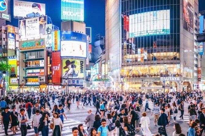 Tokyo Private Tour by Car with English speaking driver - Price and value: what $453.24 per group buys you
