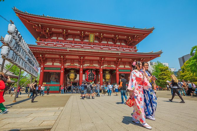 Tokyo Private Tour by Vehicle with English-Speaking Chauffeur - Who this Tokyo Grand Tours day trip suits best