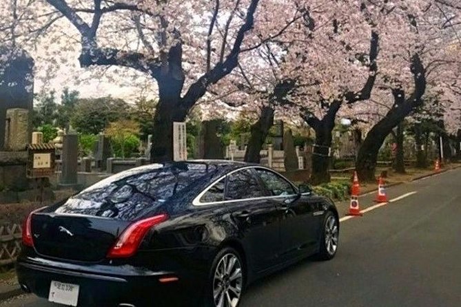 Tokyo Private Tour by Vehicle with English-Speaking Chauffeur - Getting picked up in Akasaka (and why pocket WiFi matters)