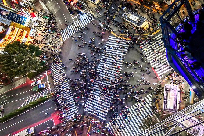 Tokyo Private Tour by Vehicle with English-Speaking Chauffeur - Tokyo Skytree views: plan for the ticket you’ll buy