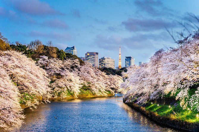 Tokyo Private Tour by Vehicle with English-Speaking Chauffeur - Price and what you’re really paying for