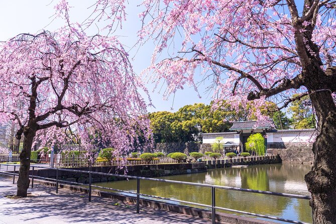 Tokyo Private Tour! Edo Castle & Imperial Palace East Gardens - What’s included for $65.41: value vs. expectations