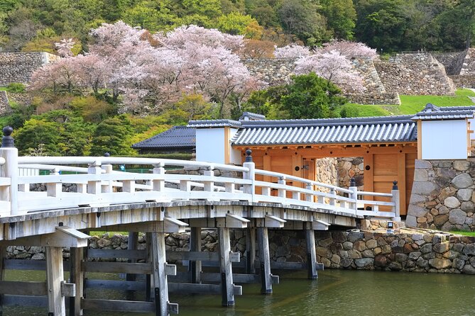 Tokyo Private Tour! Edo Castle & Imperial Palace East Gardens - Photo opportunities without the stress of planning
