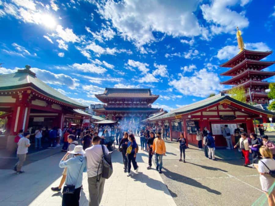 Tokyo Private Tour English Pro Guide By Luxury Vehicle - Key Points I’d Use to Plan Your Day