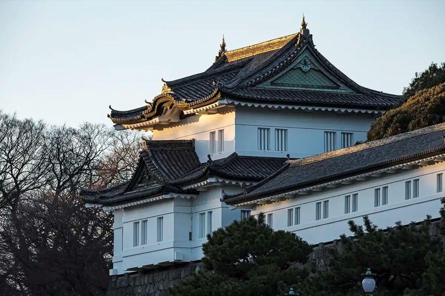 Tokyo Private Tour English Pro Guide By Luxury Vehicle - Shinjuku and Ginza: Two Different Flavors of Modern Tokyo