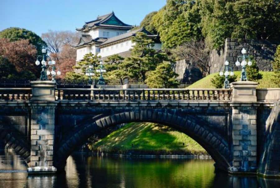 Tokyo Private Tour English Pro Guide By Luxury Vehicle - Hotel Pickup + Luxury Vehicle: The Convenience Part You’ll Feel Immediately