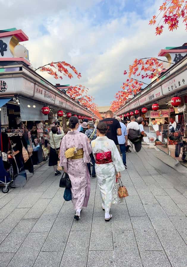 Tokyo Private Tour English Pro Guide By Luxury Vehicle - Custom Itinerary With Stops You’d Actually Choose