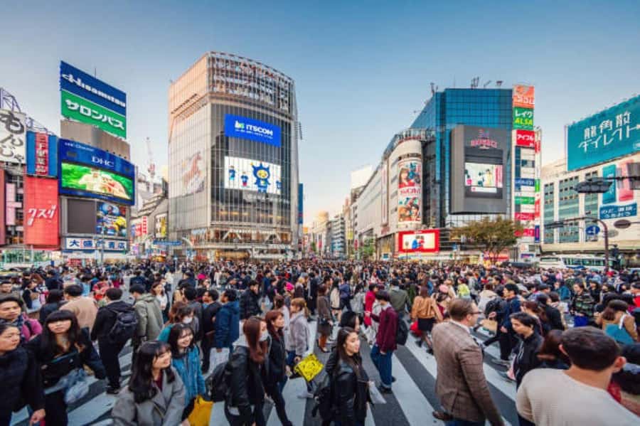 Tokyo Private Tour English Pro Guide By Luxury Vehicle - Meiji Shrine: The Green Pause In the Middle of the City