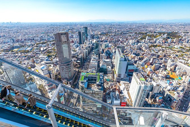 Tokyo Private Tour: One Day Highlights and Optional Shibuya Sky - Key Things That Make This Tour a Good Bet