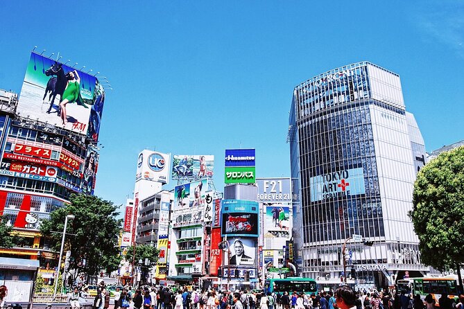 Tokyo Private Tour with Local Expert Guide – Hidden Gems - Getting around: subway pass advice and a realistic walking day