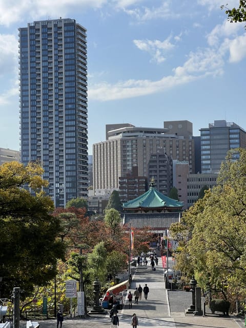 TOKYO Private visit guide Speaking French - Meet Your French Guide, and Why Personal Matters in Tokyo
