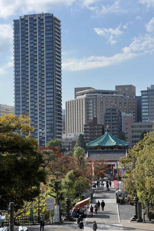 TOKYO Private visit guide Speaking French - Should You Book This French-Language Private Tokyo Visit?