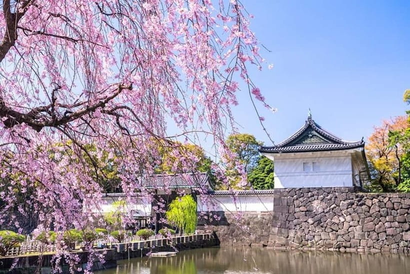 Tokyo: Pvt. Tour - Edo Castle & Imperial Palace East Gardens - A Calm, Historical Walk in the Middle of Tokyo