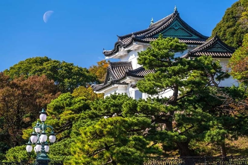 Tokyo: Pvt. Tour - Edo Castle & Imperial Palace East Gardens - Edo Castle Ruins: Moats, Stone, and the Scale of Power