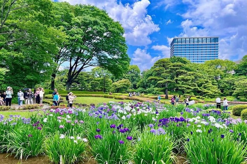 Tokyo: Pvt. Tour - Edo Castle & Imperial Palace East Gardens - Ninomaru Garden: Seasonal Flowers and a Slower Way to Look
