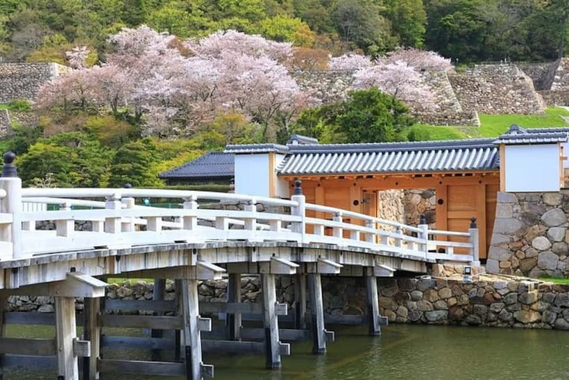 Tokyo: Pvt. Tour - Edo Castle & Imperial Palace East Gardens - The Imperial Palace East Gardens Experience (Without Inner Palace Access)