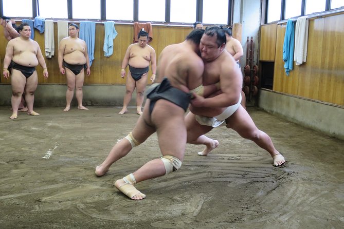 Tokyo Ryogoku Sumo Morning Practice + Photo Shoot with Wrestlers - Key highlights to know before you go