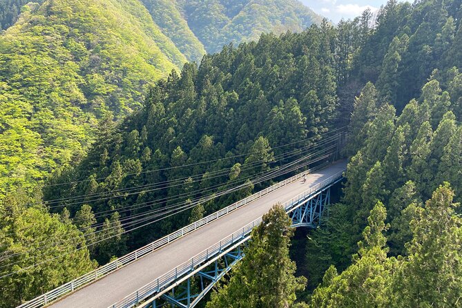 Tokyo's hidden nature cycling tour - Okutama Historical Road Tour - Mugiyama Floating Bridge: the quiet middle stop