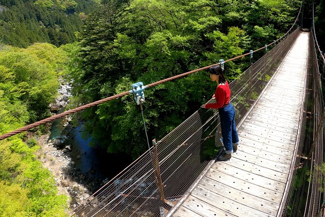 Tokyo's hidden nature cycling tour - Okutama Historical Road Tour - Price and value: where your $184.61 really goes