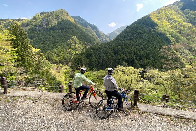 Tokyo's hidden nature cycling tour - Okutama Historical Road Tour - Okutama Mukashimichi: springs, wasabi, shrines, and a monkey-watch bridge