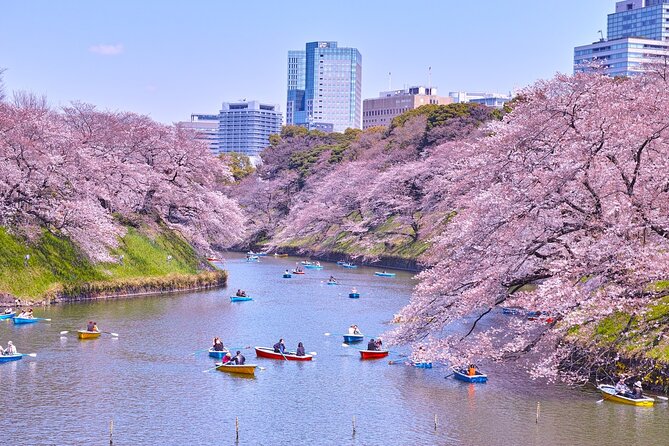 Tokyo Self-Guided Audio Tour - Price and value: $9 for 22 stops in ~4 hours