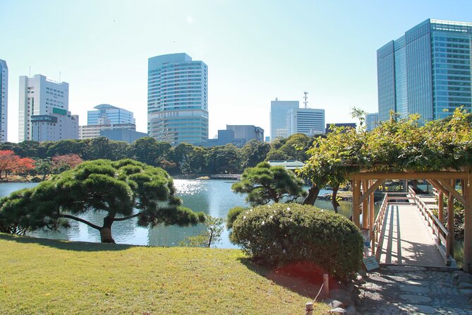 Tokyo Self-Guided Audio Tour - Shibuya Crossing to National Art Center: Tokyo’s street-level electricity and a museum concept