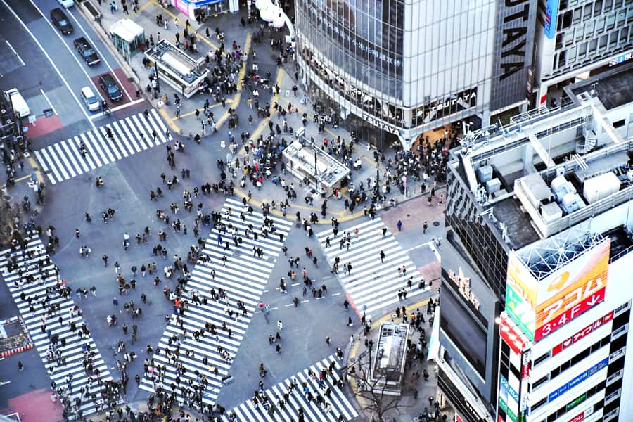 Tokyo: Shibuya Walking Tour & Night Views from Shibuya Sky - Key things to know before you go