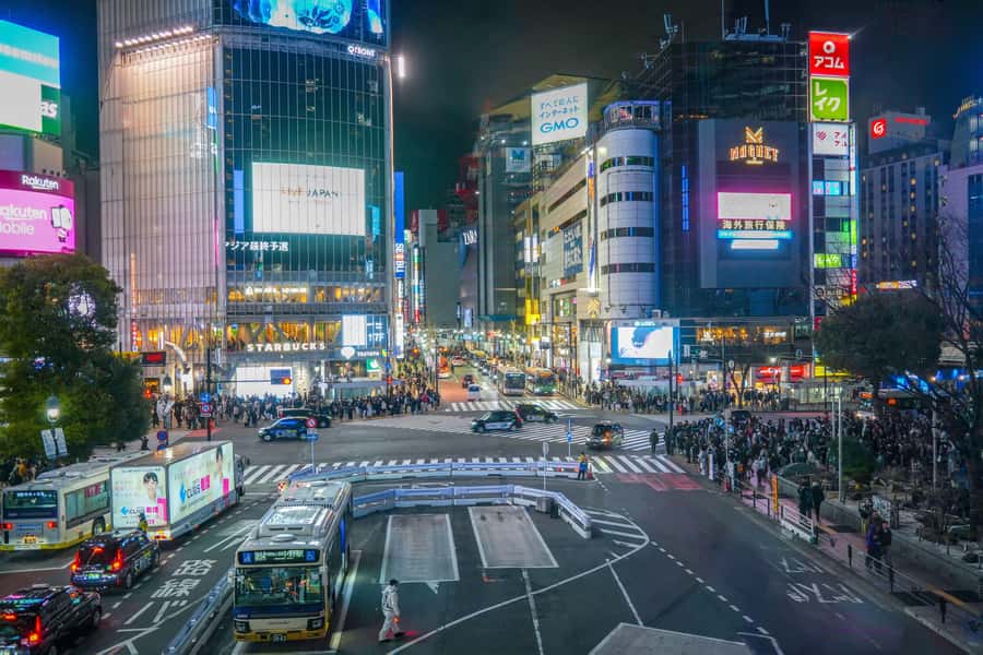 Tokyo: Shibuya Walking Tour & Night Views from Shibuya Sky - Meeting at Hachiko Square and Getting Your Bearings