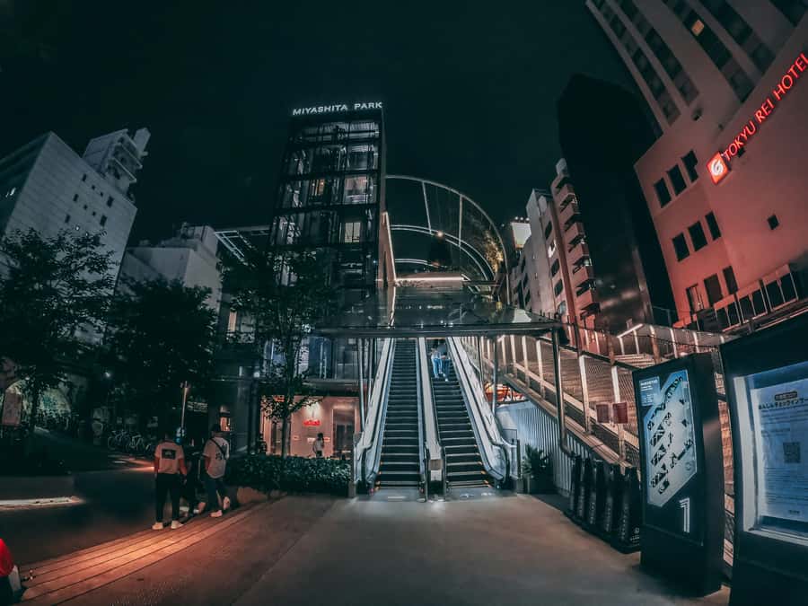 Tokyo: Shibuya Walking Tour & Night Views from Shibuya Sky - Best Time to Go and Who This Tour Fits Best