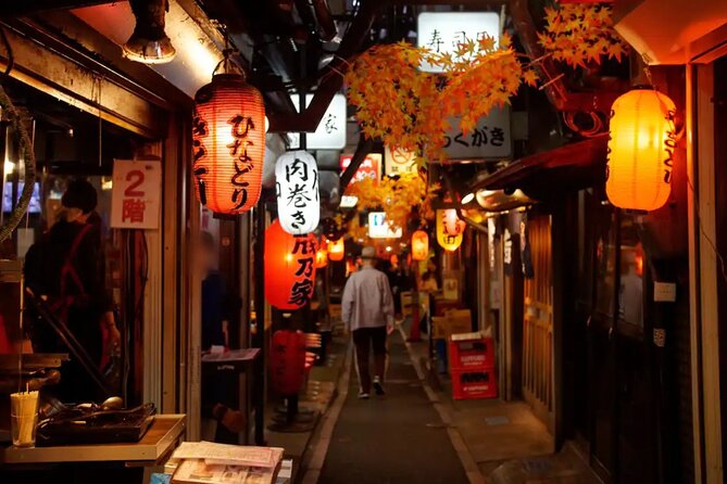 Tokyo: Shinjuku Food Tour (15 Dishes and 4 Eateries) - Shinjuku after dark: why these neighborhoods belong together
