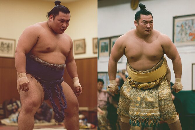 Tokyo Shinjuku Sumo Show & Experience with Photo - The show rundown: rituals, rules, and why the movements matter