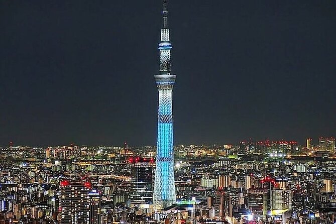 Tokyo Sightseeing/ City Tour by Private Car with English Guide - Key things that make this tour work