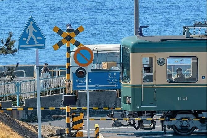 Tokyo Small Group: Enoshima & Kamakura, Hotel Pickup Option - Hotel pickup and a driver-guide: how you keep the day easy