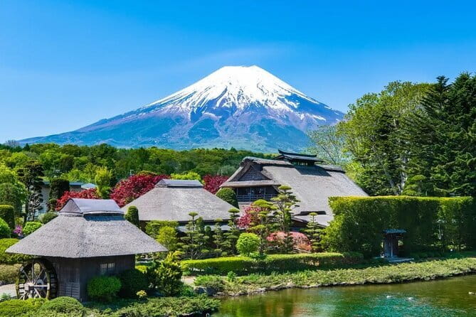 Tokyo Small Group: Enoshima & Kamakura, Hotel Pickup Option - Komachidori street time: shopping, snacks, and a walk toward Tsurugaoka