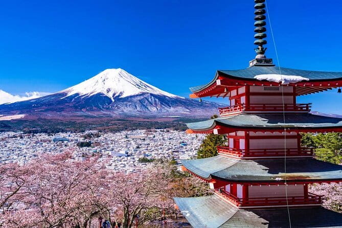 Tokyo Small Group Tour with Guide - Asakusa and Nakamise-dori: Senso-ji without the overwhelm