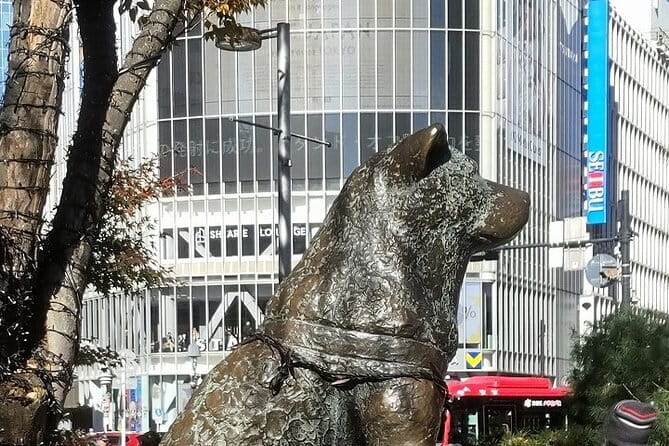 Tokyo Small Group Tour with Guide - Shibuya Crossing: the photo moment plus real street rhythm
