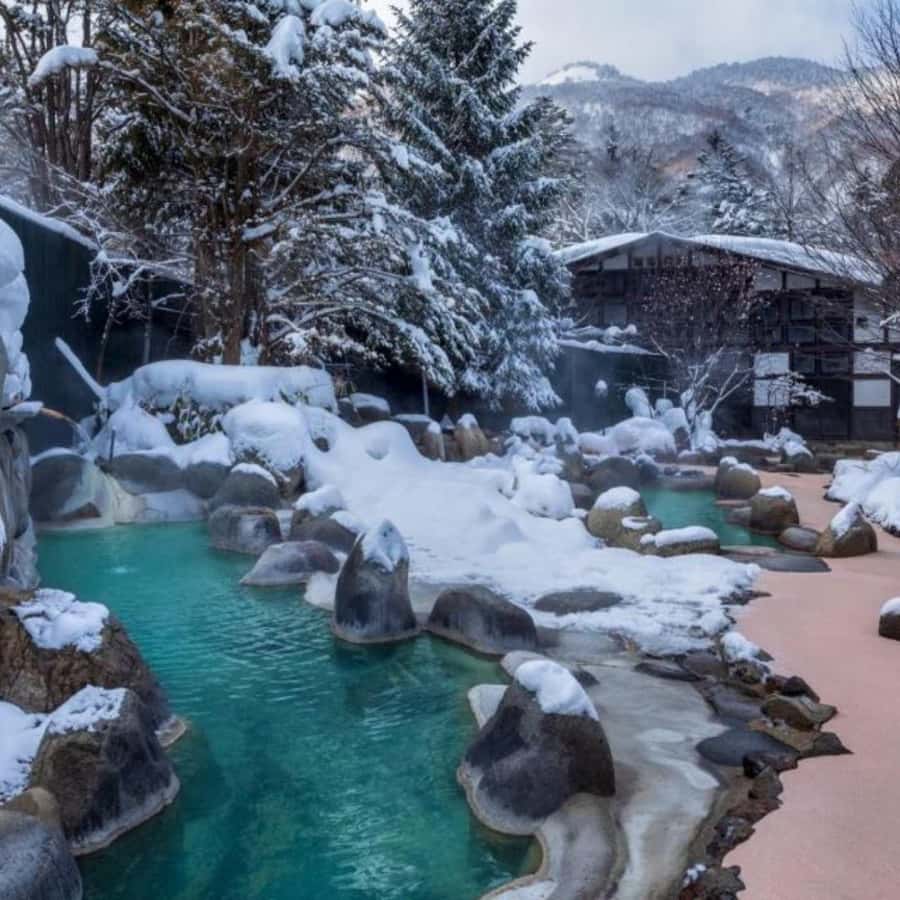 Tokyo: Snow Monkey Park and Zenkoji Temple Private Day Tour - Languages, communication, and who can understand you best