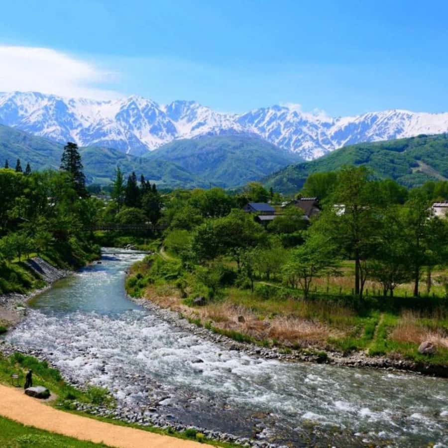 Tokyo: Snow Monkey Park and Zenkoji Temple Private Day Tour - What’s included, what’s not, and what to budget