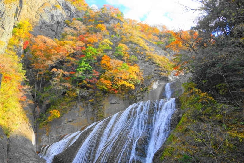 Tokyo: Spring Hitachi Seaside & Ashikaga Flower Park Tour - Should you book this Tokyo to Hitachi and Ashikaga spring tour?