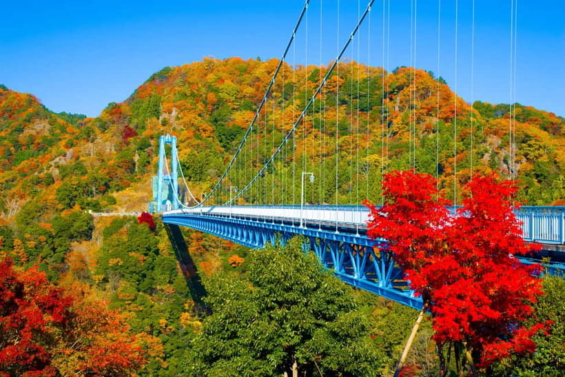 Tokyo: Spring Hitachi Seaside & Ashikaga Flower Park Tour - The Mibu Michi no Eki stop: snacks, dessert, and a character break