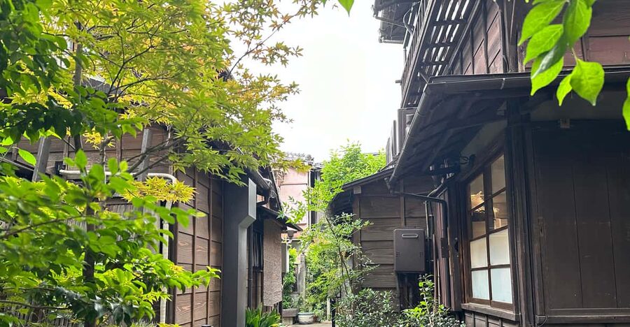 Tokyo:Stroll in Old traditional culture towns~Yanaka & Nezu - The quiet residential streets: seeing old Tokyo in daily life