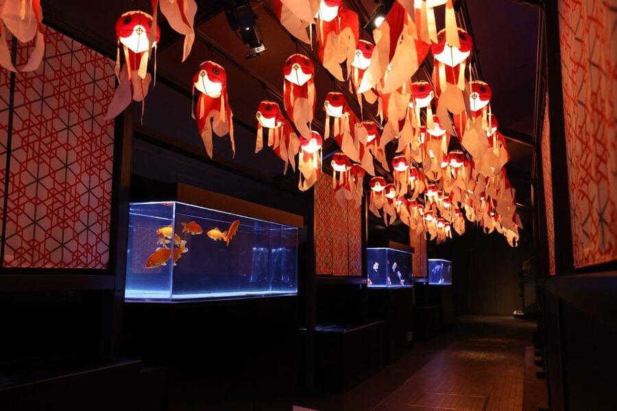Tokyo: Sumida Aquarium Entry Ticket - The Cafe Flow: Sit, Watch, Then Ask Questions