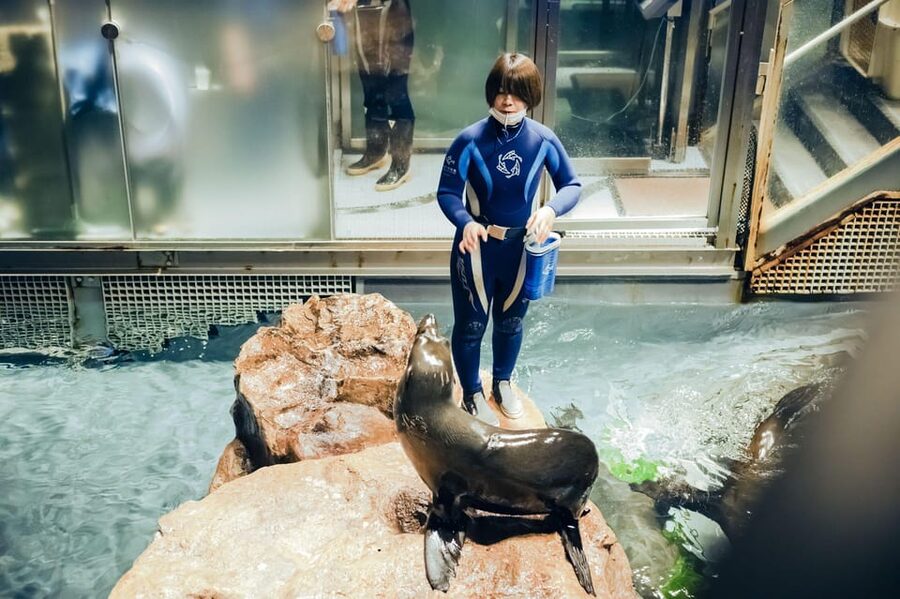 Tokyo: Sumida Aquarium Entry Ticket - Photo and Photo-Behavior Rules That Actually Matter