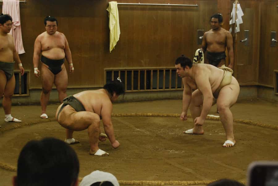 Tokyo: Sumo Morning Practice -Stable Visit Tour with a Guide - Who This Tour Suits Best (and Who Might Want Another Option)