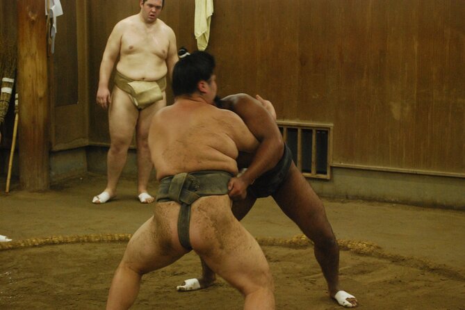 Tokyo: Sumo Morning Practice -Stable Visit Tour with a Guide - Stable Rules That Affect Your Experience (and How to Handle Them)
