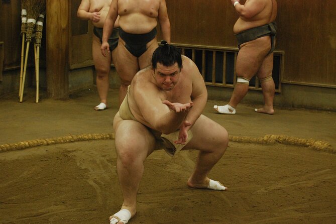 Tokyo: Sumo Morning Practice -Stable Visit Tour with a Guide - Price and Value: Is $82 Worth It?