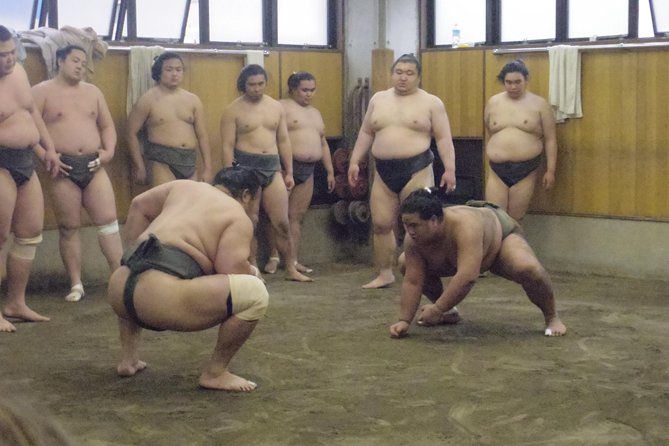 Tokyo Sumo Morning Practice Tour at Stable - Stop 2: Quiet viewing inside the stable (this is the whole point)