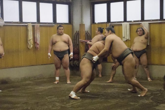 Tokyo Sumo Morning Practice Tour at Stable - What you’ll notice in sumo practice up close