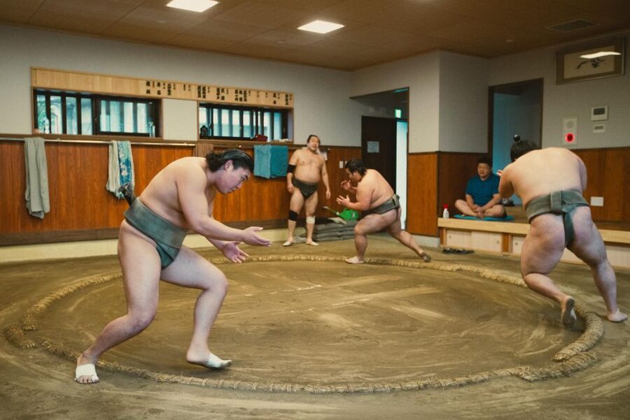 Tokyo: Sumo Morning Practice Tour at Sumida City - The Training Session: What You’ll See Up Close